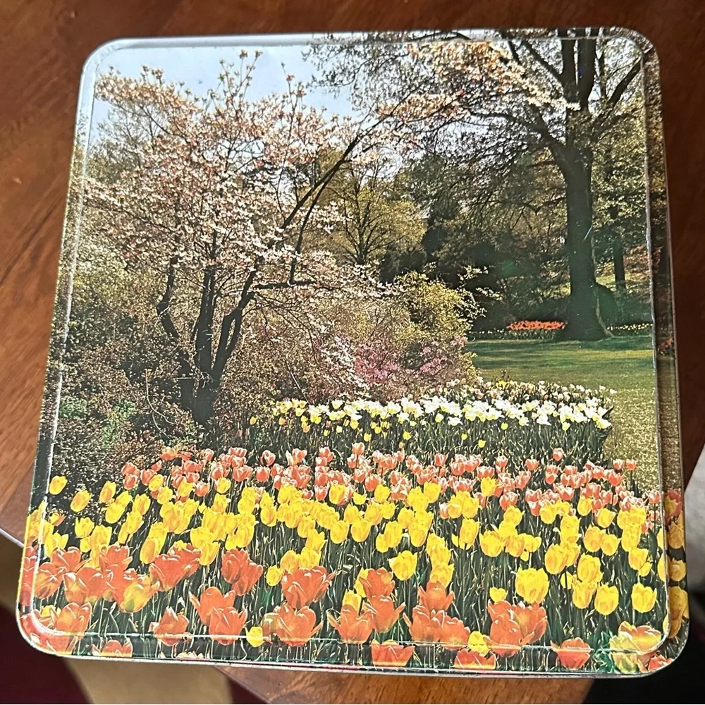 Vintage Floral Tulip Tin Box | Decorative Storage | Spring Garden Vibes